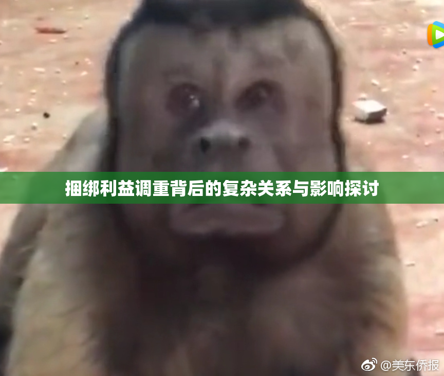 捆绑利益调重背后的复杂关系与影响探讨
