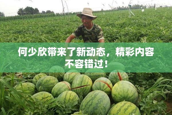 何少欣带来了新动态，精彩内容不容错过！