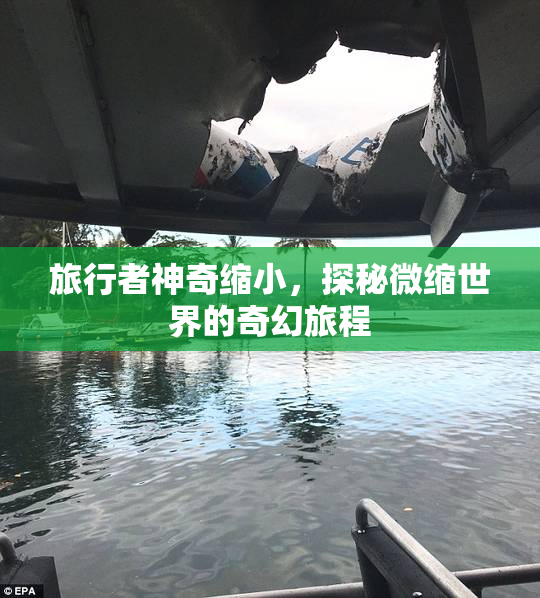 旅行者神奇缩小，探秘微缩世界的奇幻旅程