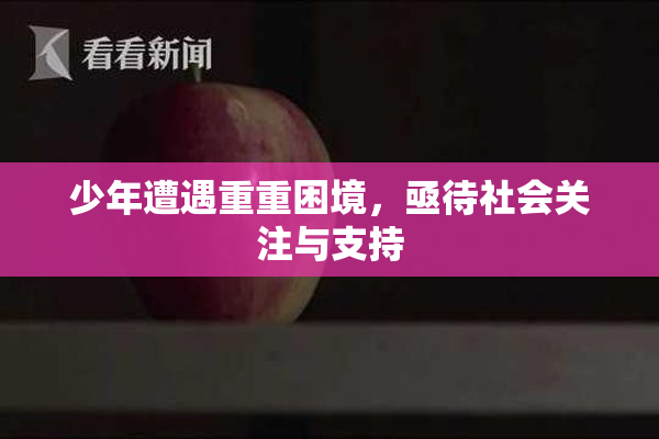 少年遭遇重重困境，亟待社会关注与支持