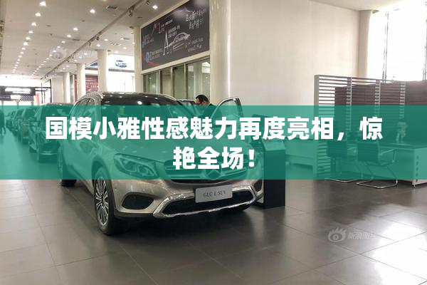 国模小雅性感魅力再度亮相，惊艳全场！