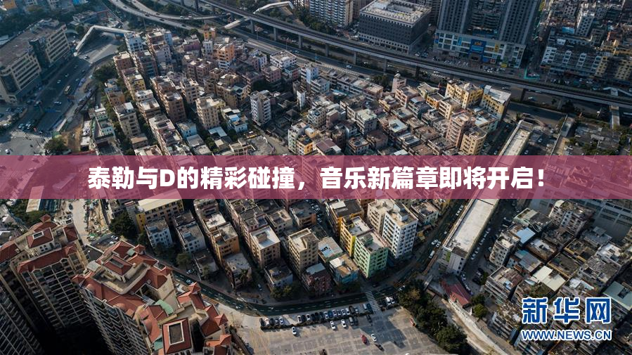 泰勒与D的精彩碰撞，音乐新篇章即将开启！