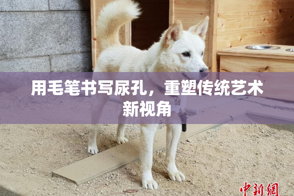 用毛笔书写尿孔，重塑传统艺术新视角
