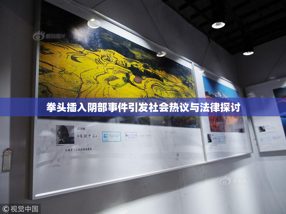 拳头插入阴部事件引发社会热议与法律探讨
