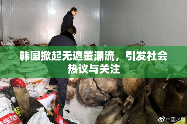 韩国掀起无遮羞潮流，引发社会热议与关注