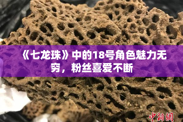 《七龙珠》中的18号角色魅力无穷，粉丝喜爱不断