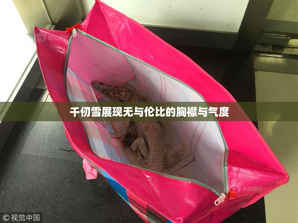 千仞雪展现无与伦比的胸襟与气度