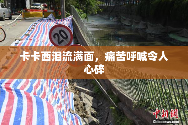 卡卡西泪流满面，痛苦呼喊令人心碎