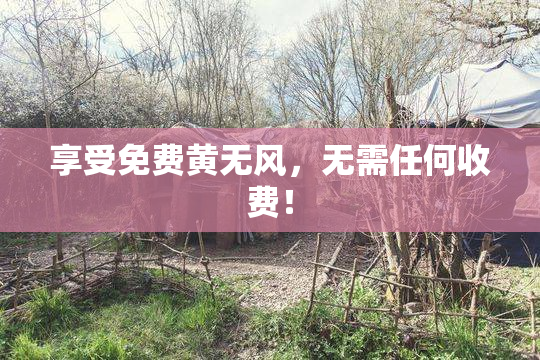 享受免费黄无风，无需任何收费！