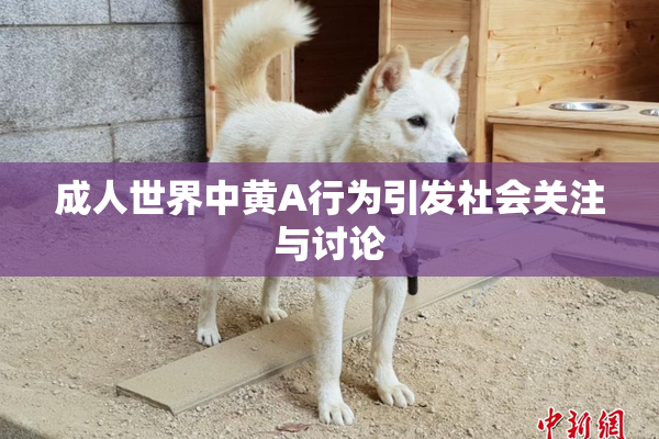 成人世界中黄A行为引发社会关注与讨论