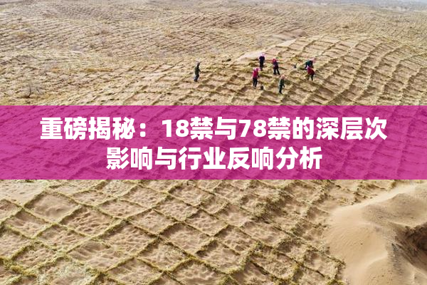 重磅揭秘：18禁与78禁的深层次影响与行业反响分析