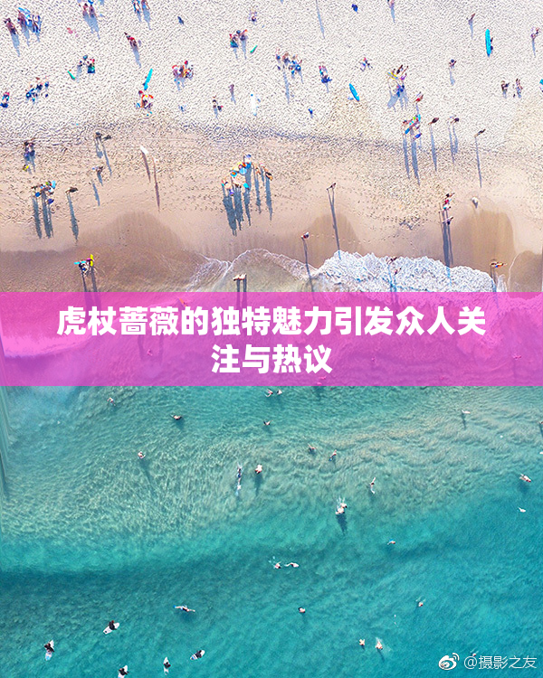 虎杖蔷薇的独特魅力引发众人关注与热议