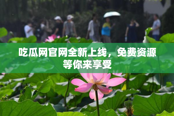 吃瓜网官网全新上线，免费资源等你来享受