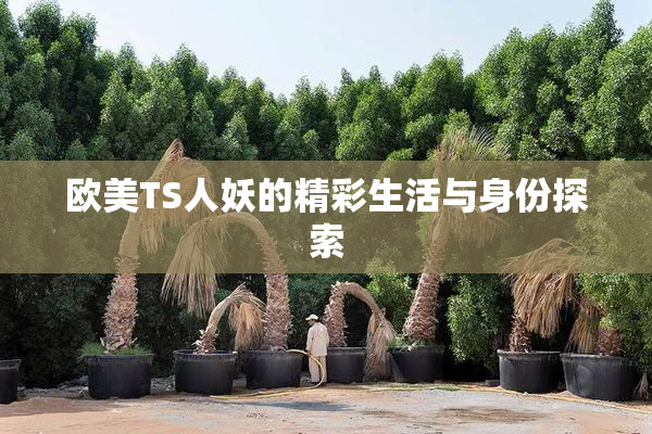 欧美TS人妖的精彩生活与身份探索