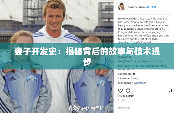 妻子开发史：揭秘背后的故事与技术进步