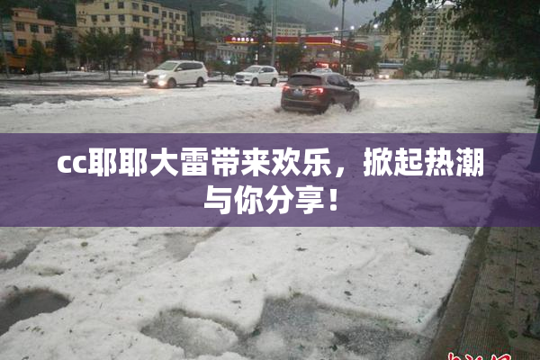 cc耶耶大雷带来欢乐，掀起热潮与你分享！