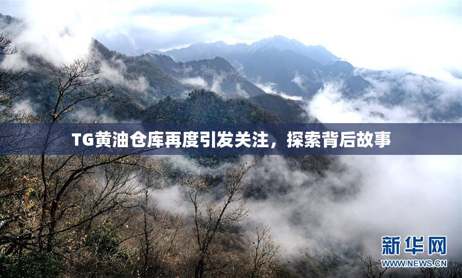 TG黄油仓库再度引发关注，探索背后故事
