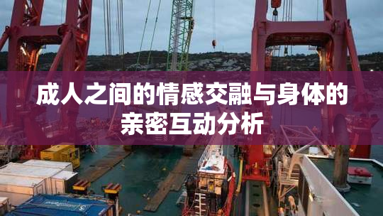 成人之间的情感交融与身体的亲密互动分析