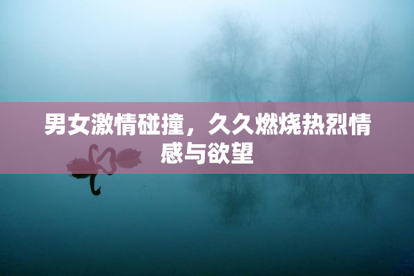 男女激情碰撞，久久燃烧热烈情感与欲望