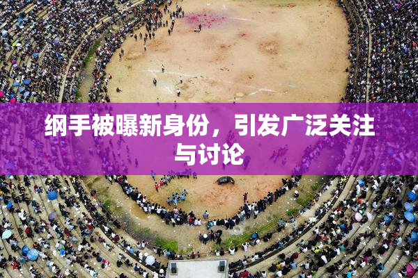 纲手被曝新身份，引发广泛关注与讨论