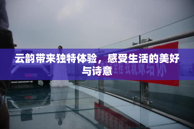 云韵带来独特体验，感受生活的美好与诗意