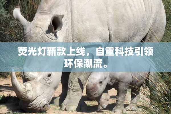荧光灯新款上线，自重科技引领环保潮流。