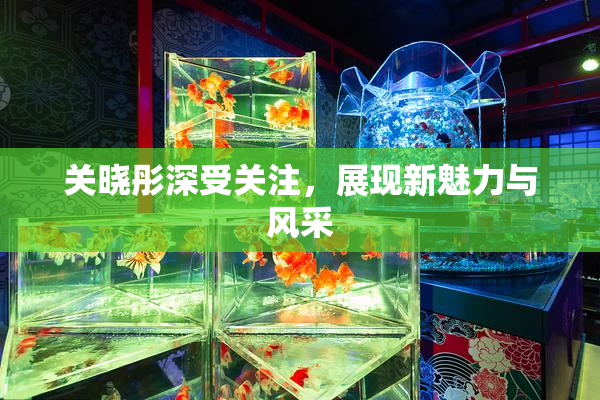 关晓彤深受关注，展现新魅力与风采