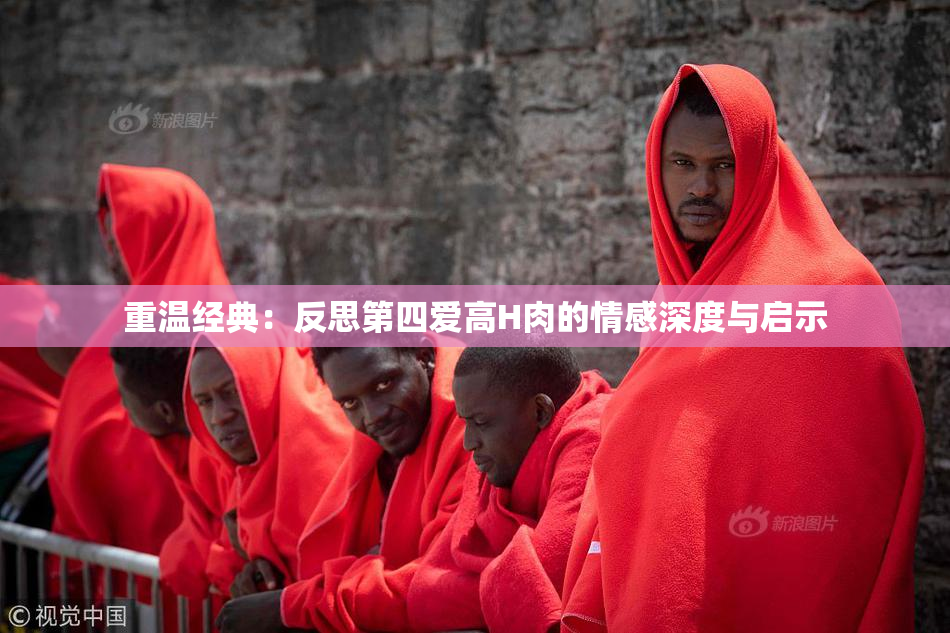 重温经典：反思第四爱高H肉的情感深度与启示