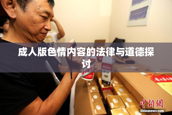 成人版色情内容的法律与道德探讨
