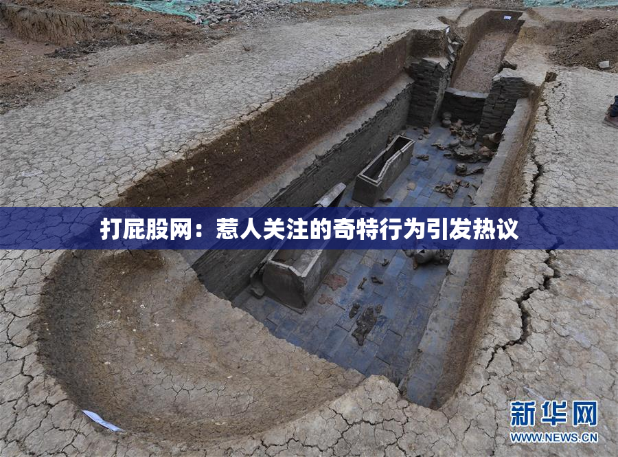 打屁股网：惹人关注的奇特行为引发热议