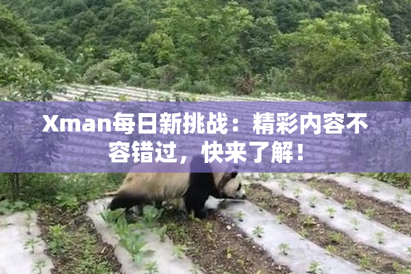 Xman每日新挑战：精彩内容不容错过，快来了解！
