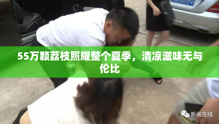 55万颗荔枝照耀整个夏季，清凉滋味无与伦比