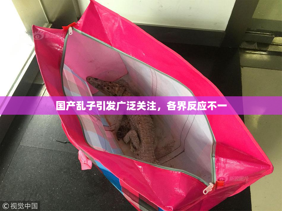 国产乱子引发广泛关注，各界反应不一