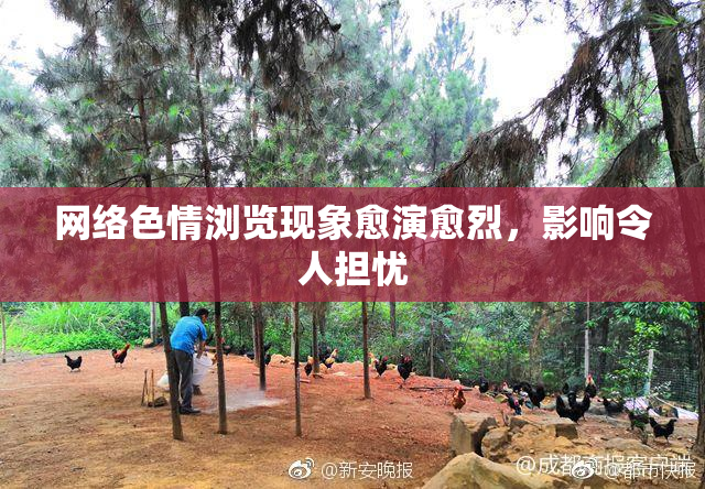 网络色情浏览现象愈演愈烈，影响令人担忧