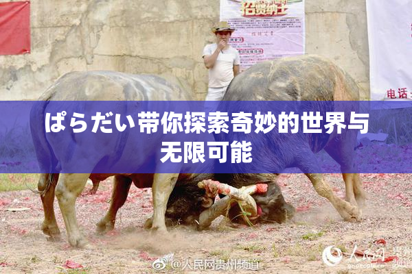 ぱらだい带你探索奇妙的世界与无限可能