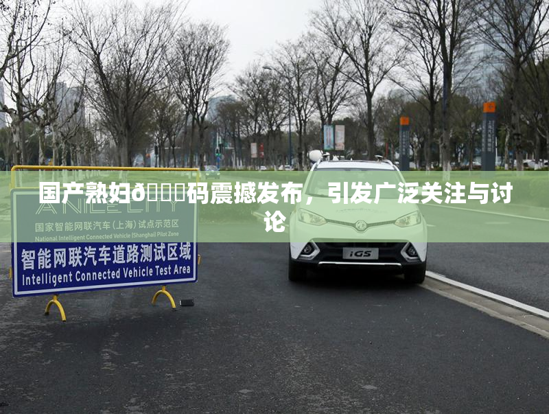 国产熟妇🈚码震撼发布，引发广泛关注与讨论