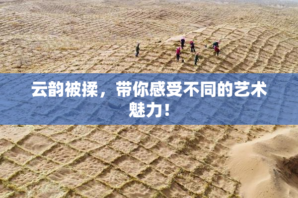 云韵被揉，带你感受不同的艺术魅力！