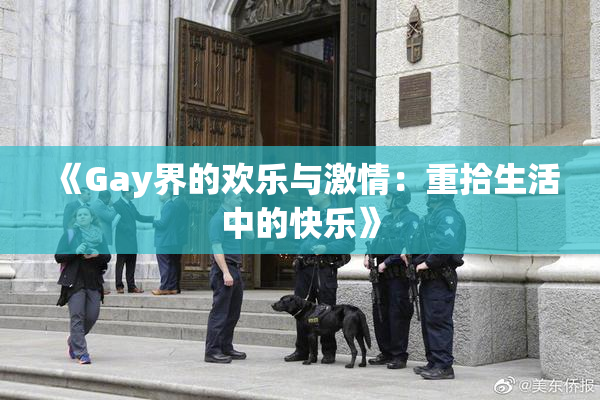 《Gay界的欢乐与激情：重拾生活中的快乐》
