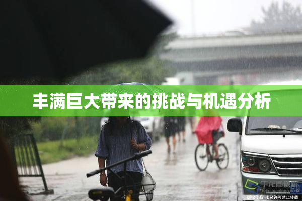 丰满巨大带来的挑战与机遇分析