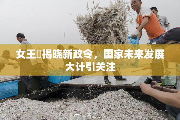 女王様揭晓新政令，国家未来发展大计引关注