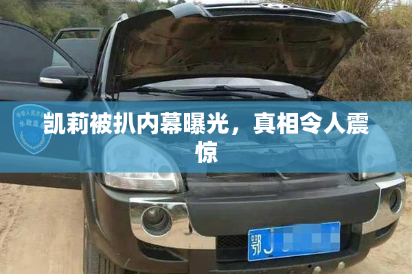 凯莉被扒内幕曝光，真相令人震惊