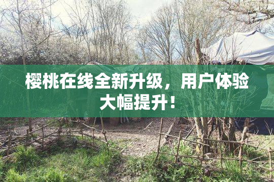 樱桃在线全新升级，用户体验大幅提升！