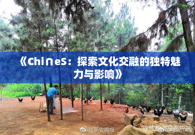 《Chi∩eS：探索文化交融的独特魅力与影响》
