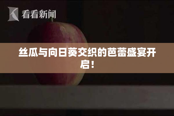 丝瓜与向日葵交织的芭蕾盛宴开启！