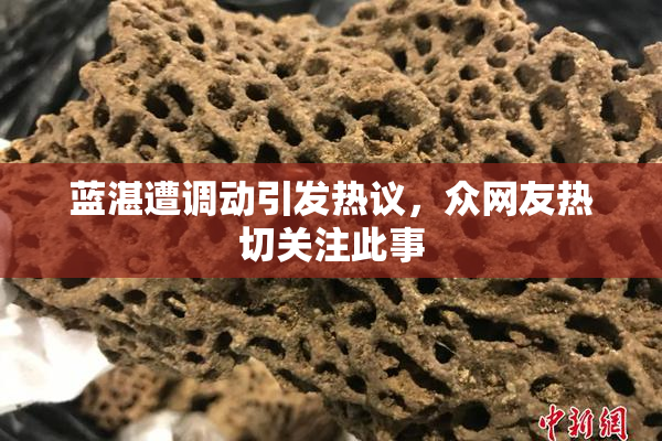 蓝湛遭调动引发热议，众网友热切关注此事