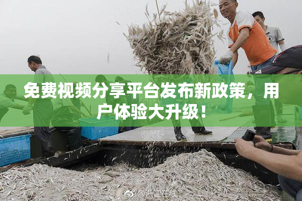 免费视频分享平台发布新政策，用户体验大升级！