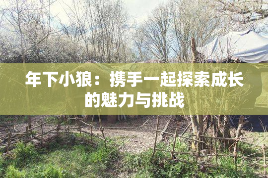 年下小狼：携手一起探索成长的魅力与挑战
