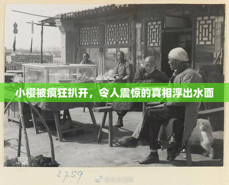 小樱被疯狂扒开，令人震惊的真相浮出水面