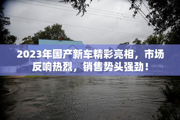 2023年国产新车精彩亮相，市场反响热烈，销售势头强劲！