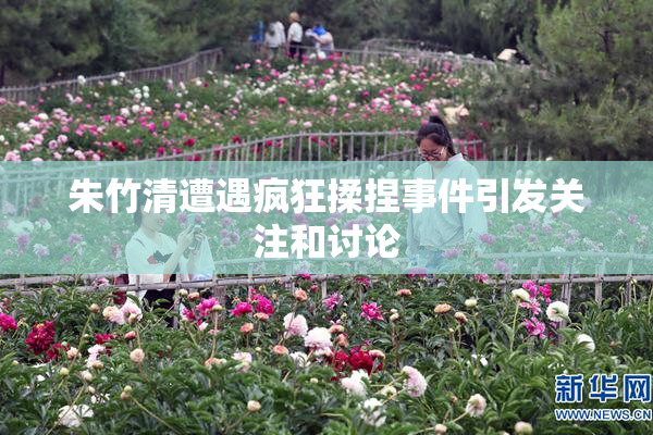 朱竹清遭遇疯狂揉捏事件引发关注和讨论